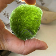Large Bartochov Moldavite illuminated to reveal its translucent green colour