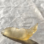 17.81g Angel Chime Libyan Desert Glass from the Great Sand Sea