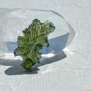 Hedgehog Moldavite Stone, Malý Chlum, 1.21g