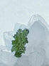Hedgehog Moldavite Stone, Malý Chlum, 1.21g