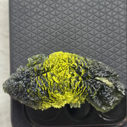 Large 20.74g pure green Moldavite from Nesměň les, Czech Republic with natural deep spiked sculpting